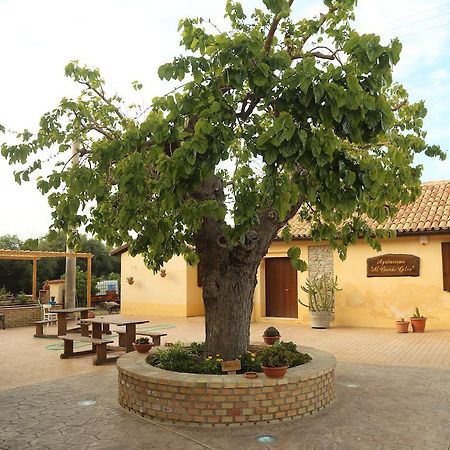 Villa Al Grande Gelso Cariati Exterior foto